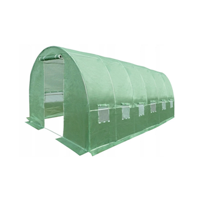 Pasivaikščiojimas Polytunnel šiltnamyje
